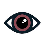 Vision Insurance icon